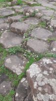 Giants Causeway