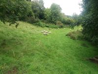 Glendalough 1
