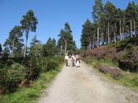 Glendalough