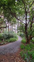 Glenveagh Castle Gardens