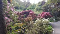 Glenveagh Castle and Gardens