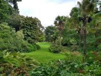 Glenveagh Garden
