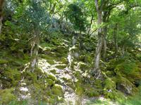 Glenveagh NP