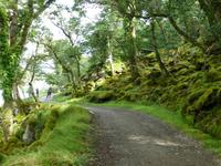 Glenveagh NP