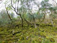 Glenveagh NP