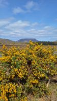 Glenveagh Nationalpark