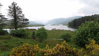 Glenveagh