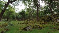Glenveagh