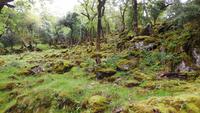 Glenveagh