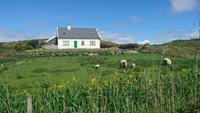 Idylle am Ring of Kerry