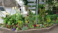 Im Bunratty Folk Park