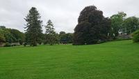 Im Coole Park