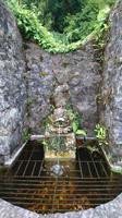 Im Glenveagh Garten