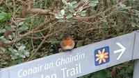 Im Glenveagh Nationalpark