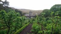 Im Glenveaugh Nationalpark