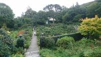 Im Ummauerten Garten von Glenveagh