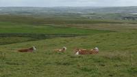 Impressionen Irland