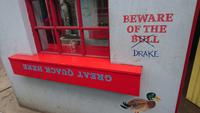 In Dingle Town gibt es Drachen?