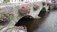 In Westport