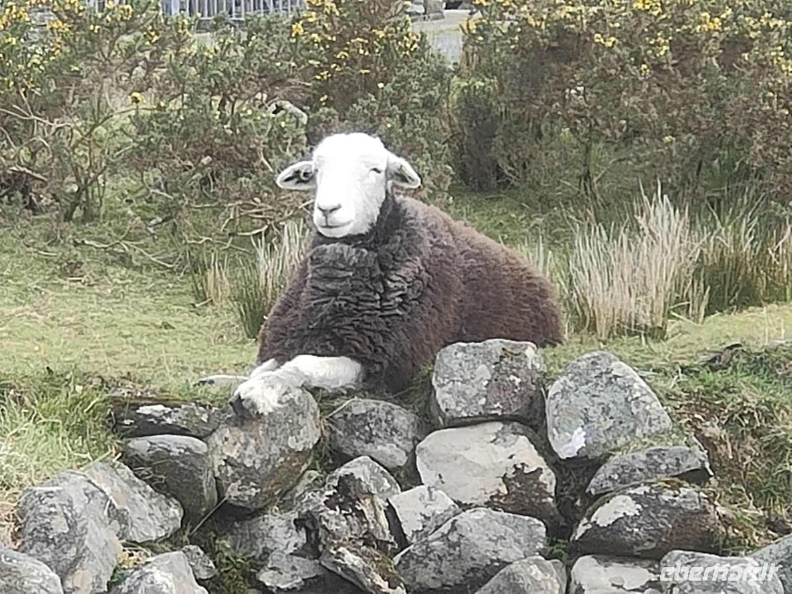 Inagh Valley