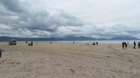 Inch Beach