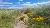 Inch Beach