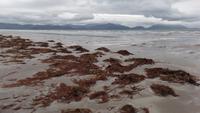 Inch Strand