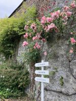 Irland, Kilkenny
