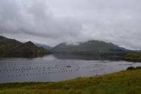 Killary Harbour
