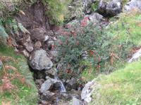Killary Harbour