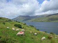 Killary Harbour