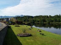 Killorglin