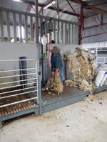 Kissanes_Shepfarm