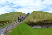 Knowth
