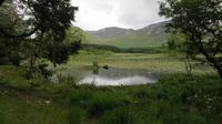 Kylemore 