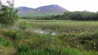 Kylemore 