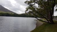 Kylemore Abbey & Gardens