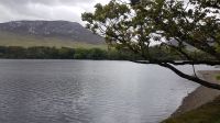 Kylemore Abbey & Gardens