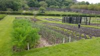 Kylemore Abbey & Gardens