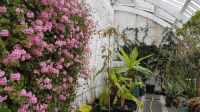 Kylemore Abbey & Gardens