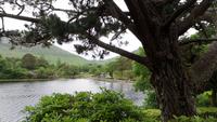 Kylemore Abbey