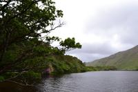 Kylemore Abbey