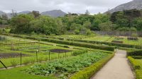 Kylemore Abbey
