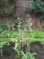 Kylemore Garden 1