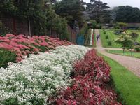 Kylemore Garden 1