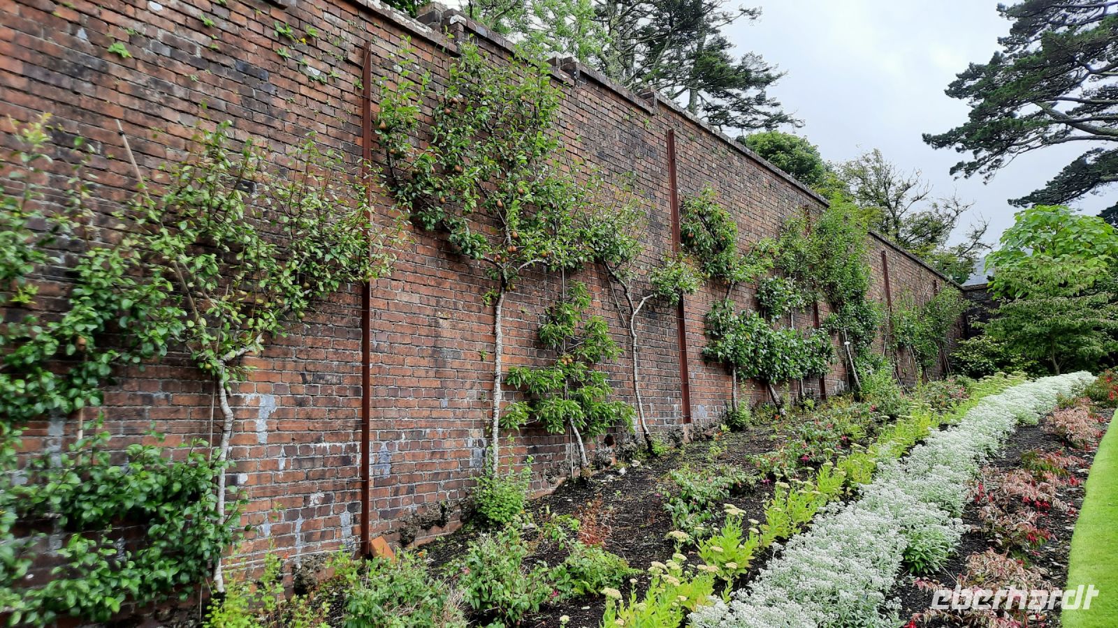 Kylemore_Gardens