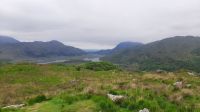 Ladies View