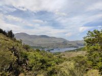 Ladies' View