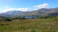 Ladys View