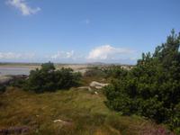 Landschaft 